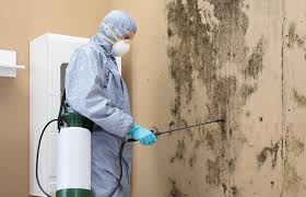 Best Dehumidification Services  in Gridley, CA